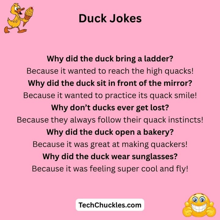 Duck Jokes
