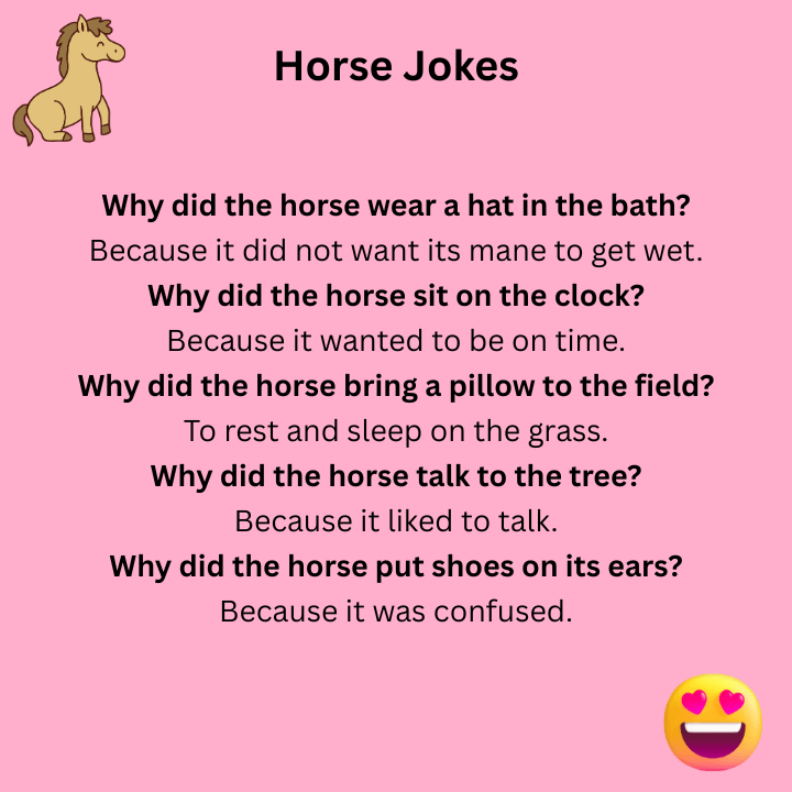 Silly Horse Jokes