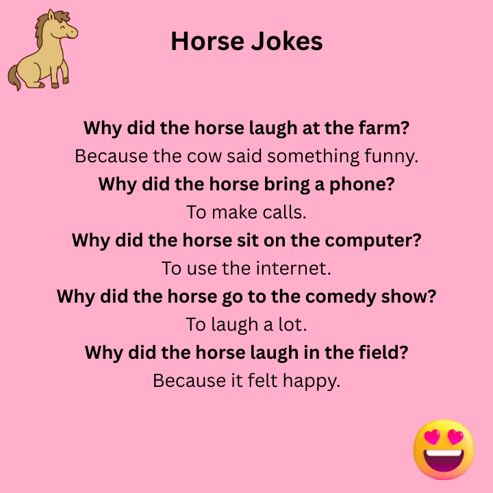 Horse Jokes Funny