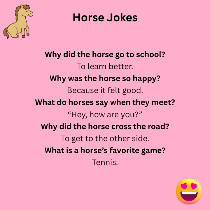 Horse Jokes