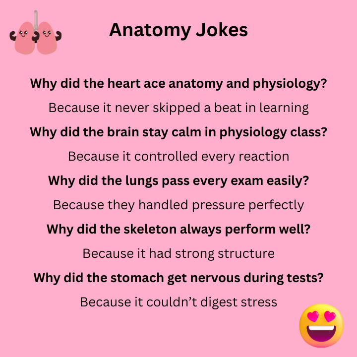 Anatomy And Physiology Jokes One Liners