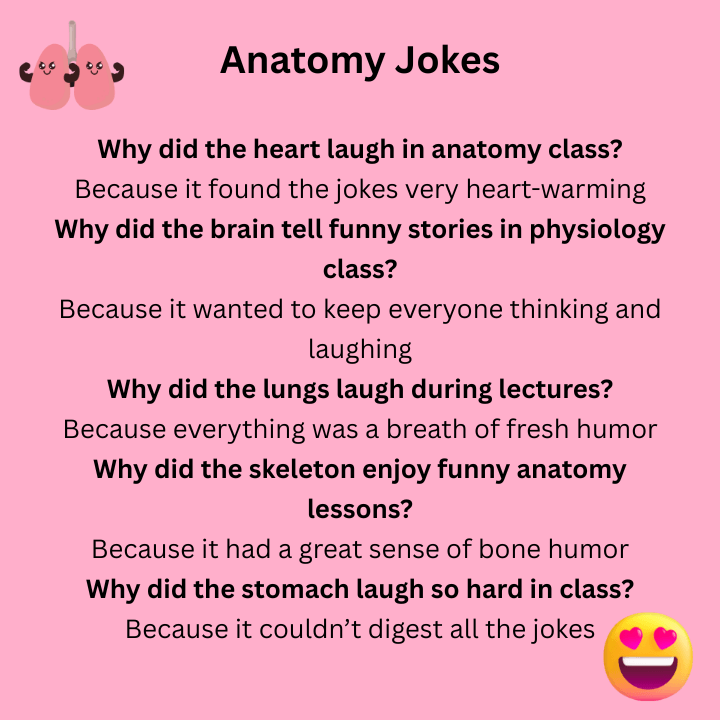 Funny Anatomy And Physiology Jokes
