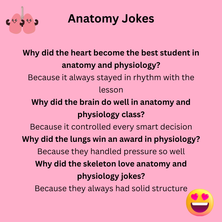 Best Anatomy And Physiology Jokes