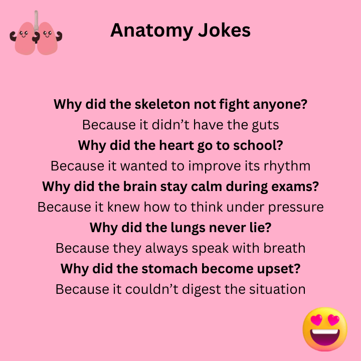Anatomy Jokes