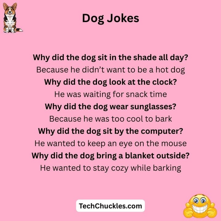 Funny Dog Jokes