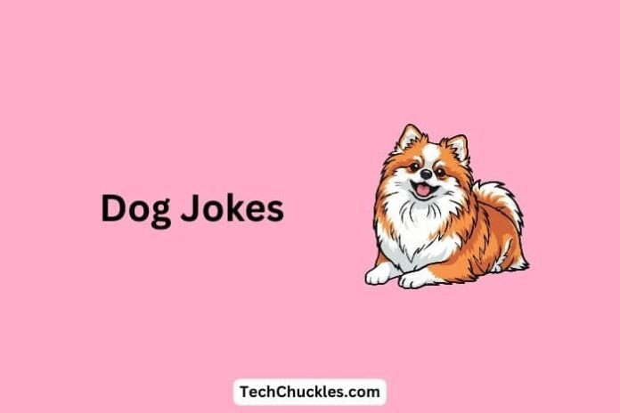 Dog Jokes That Will Fetch You Big Laughs