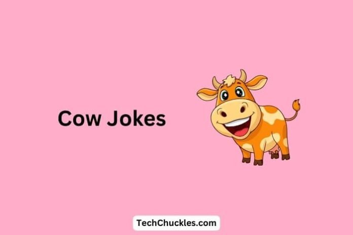 Cow Jokes That Will Make You Milk Every Laugh
