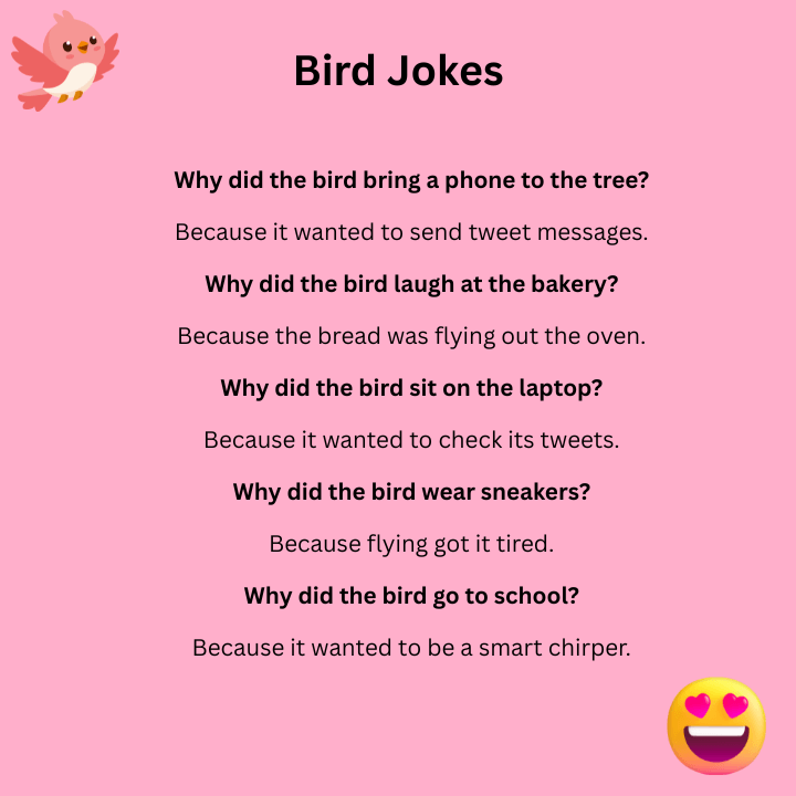 Best Bird Jokes