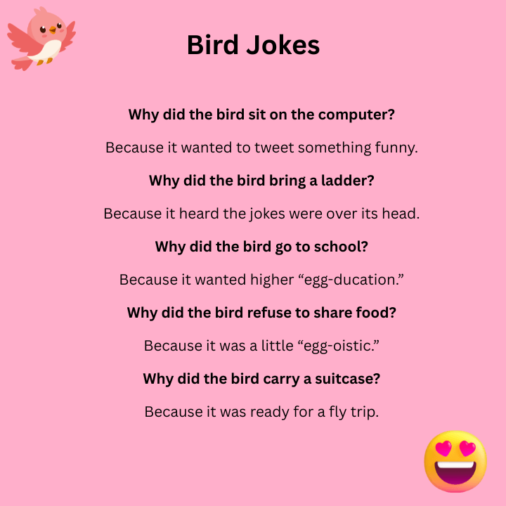 Bird Dad Jokes
