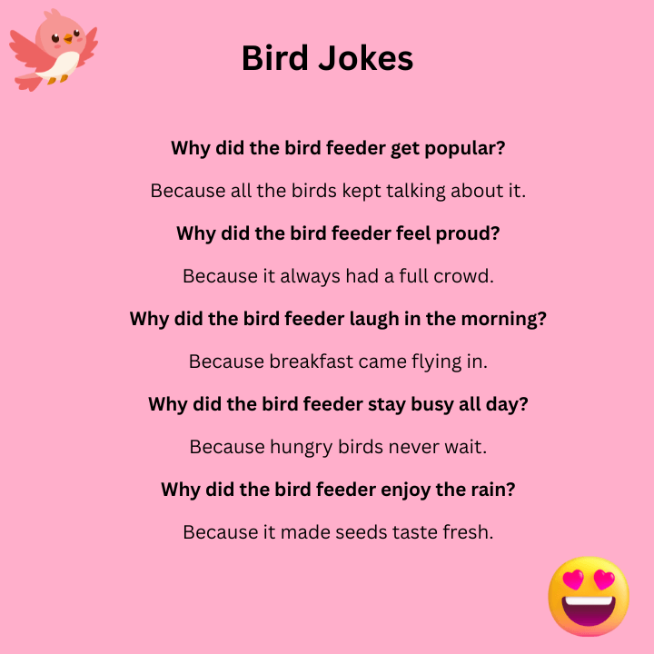 Bird Feeder Jokes
