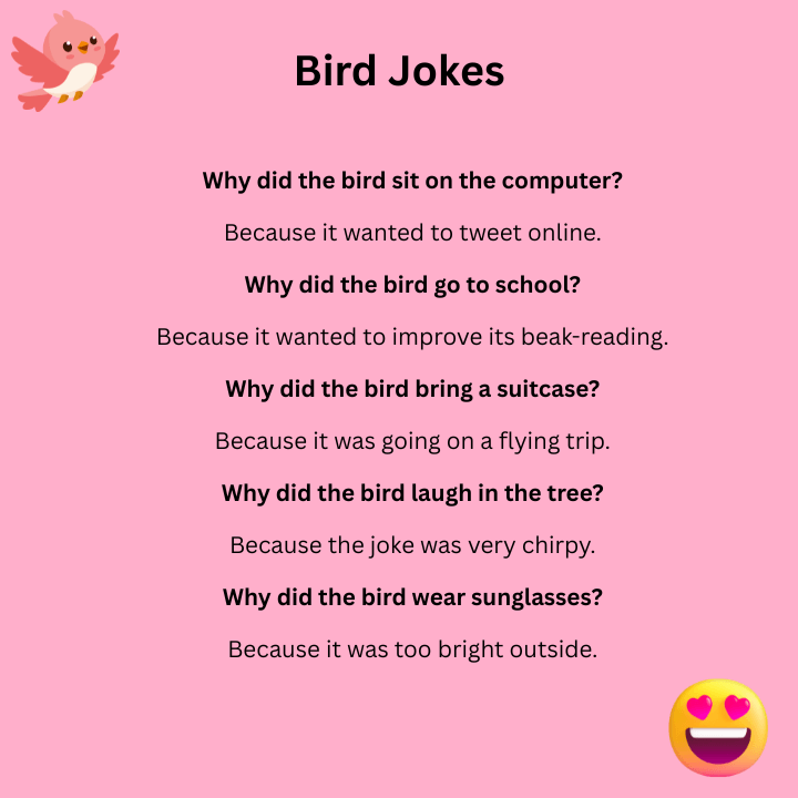 Bird Jokes