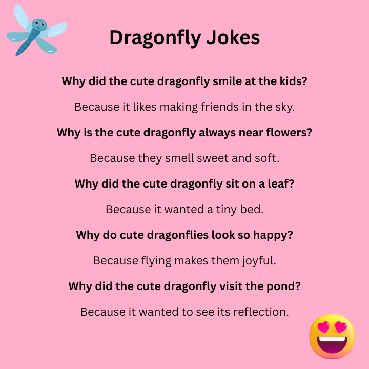 Cute Dragonfly Jokes