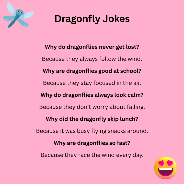 Dragonfly Jokes