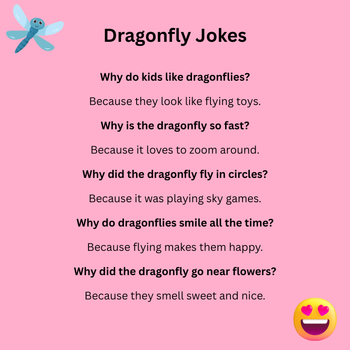 Dragonfly Jokes For Kids