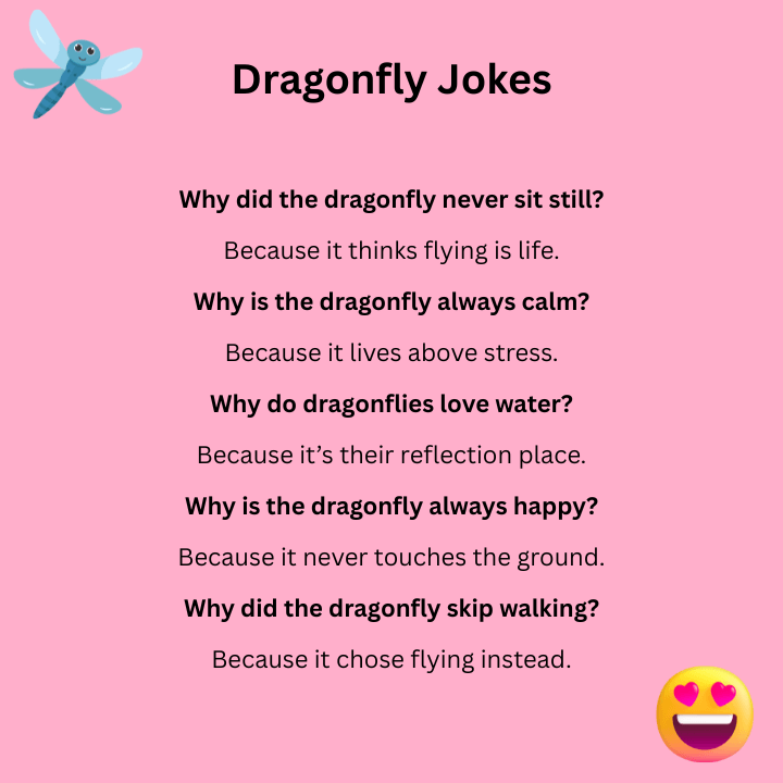 Dragonfly Jokes One Liners