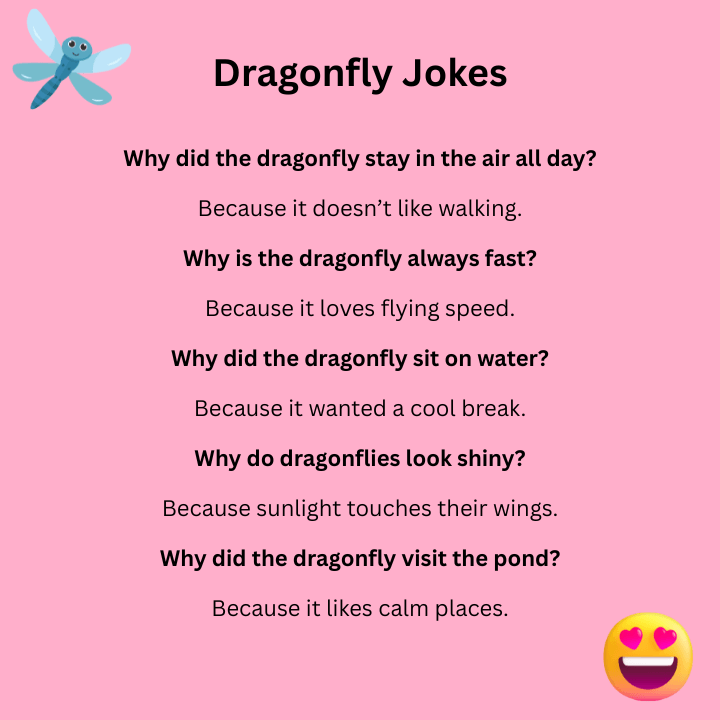Short Dragonfly Jokes