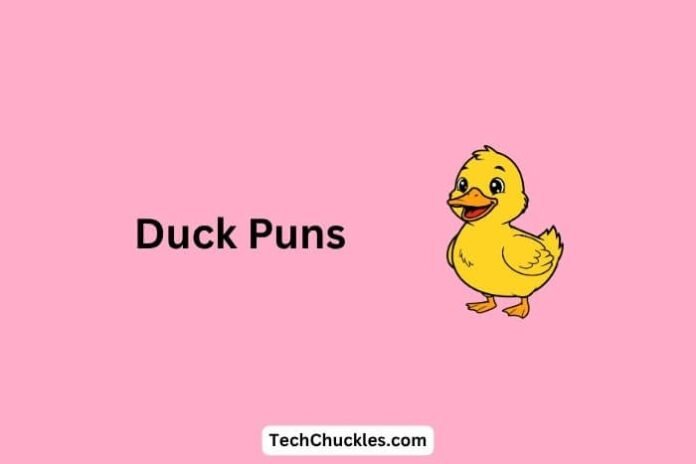 Duck Puns That Will Have You Quacking with Laughter