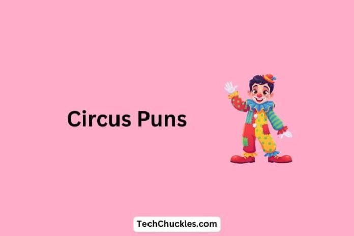 Circus Puns That Will Make You Laugh Till You Fall Off the Tightrope