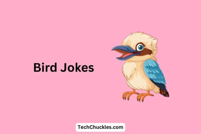 Bird Jokes Bird Jokes