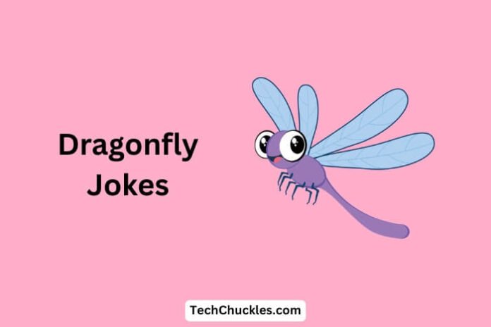 Dragonfly Jokes