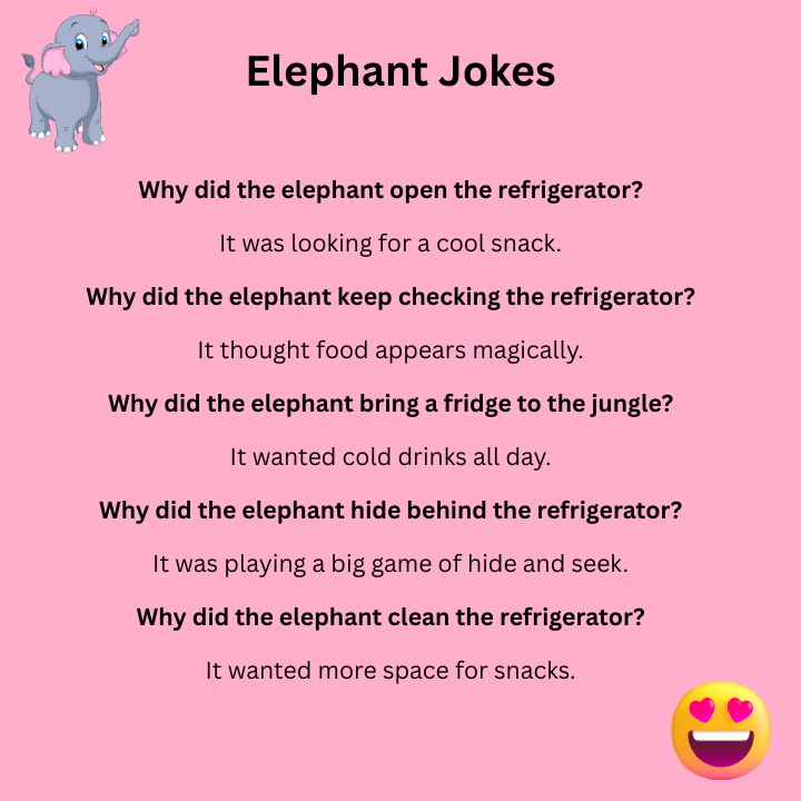 Elephant Jokes Refrigerator