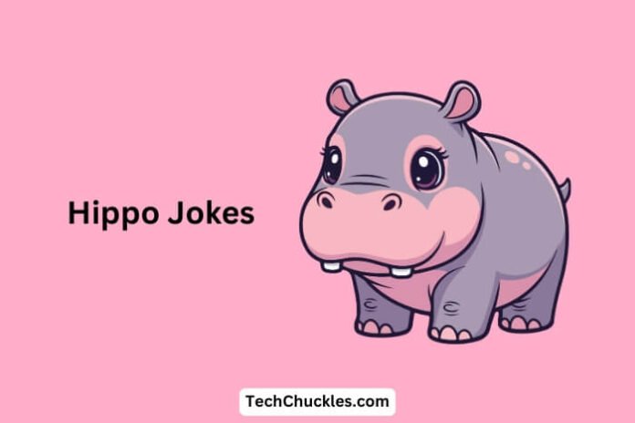 Hippo Jokes
