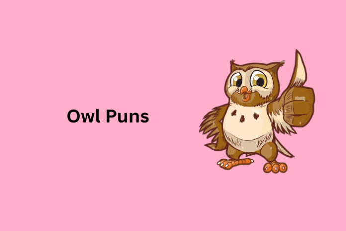 Owl Puns